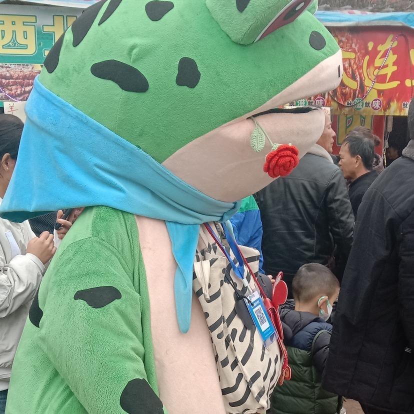 青蛙🐸探宝