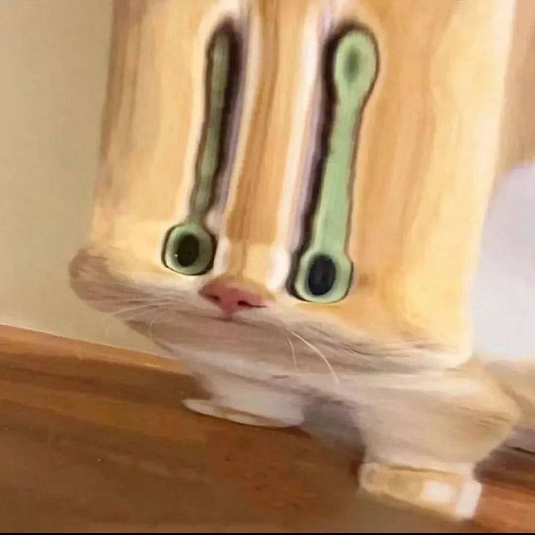 八嘎猫路
