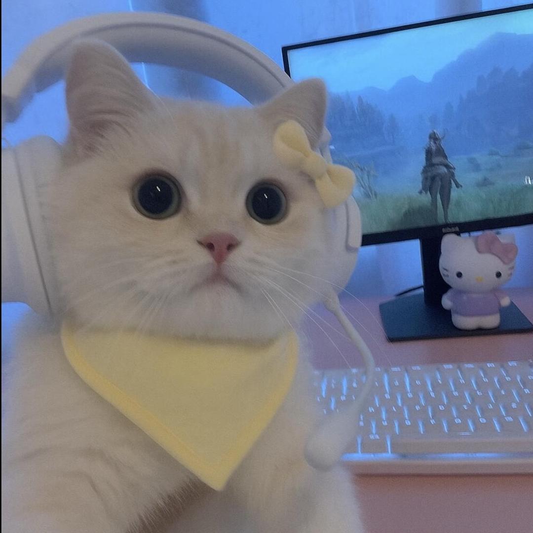 pipi