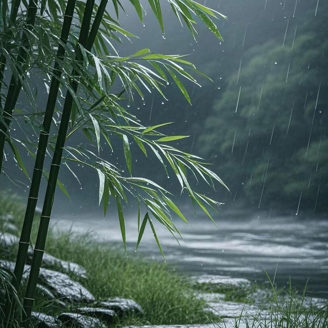 小李发生活