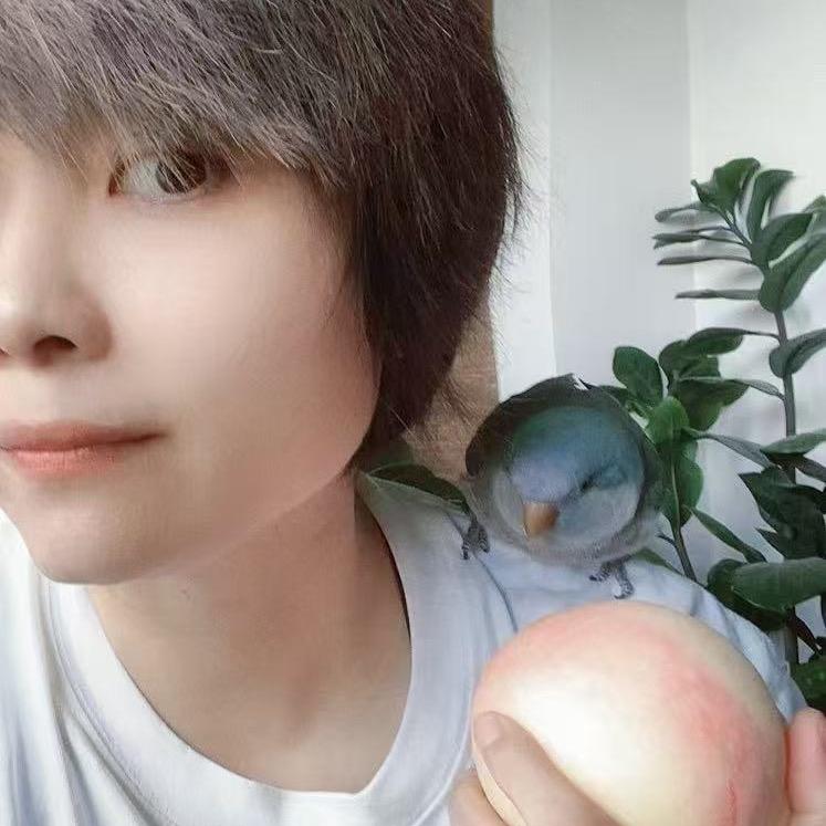 面子姐