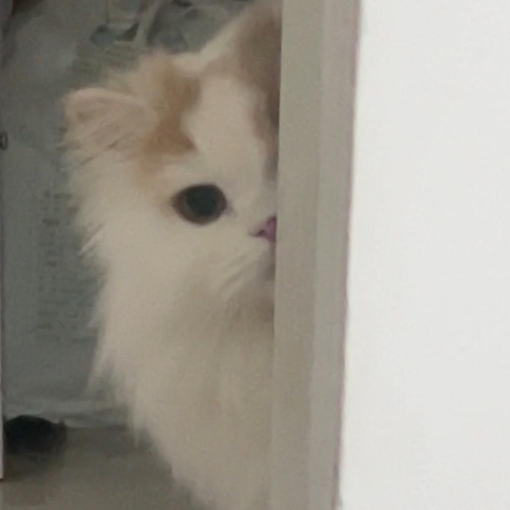 煜子子子
