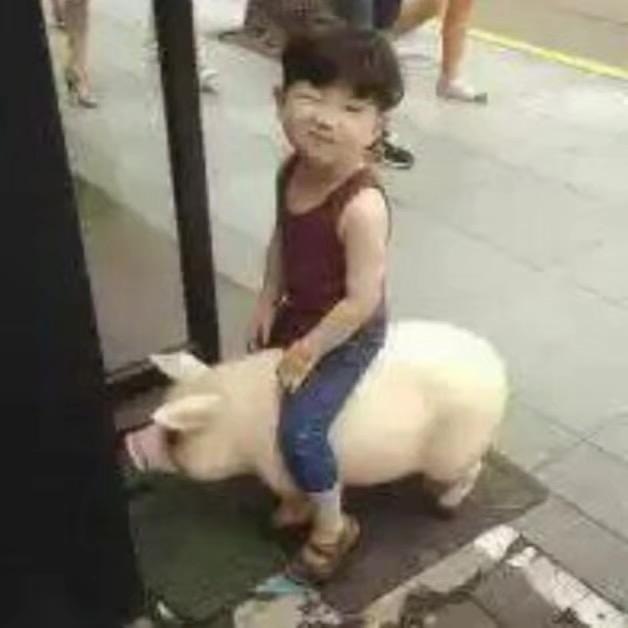 阳光小百合