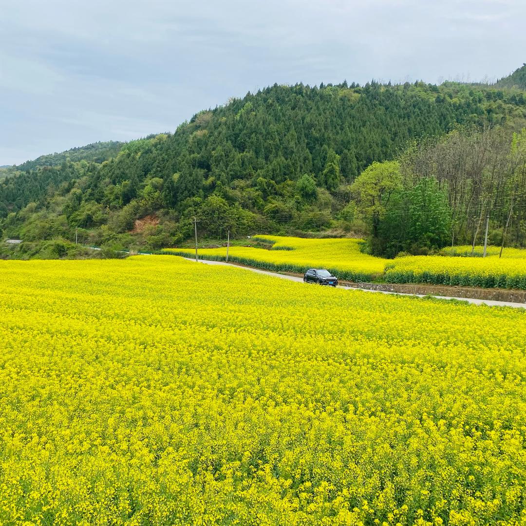 汉中户外露营野炊