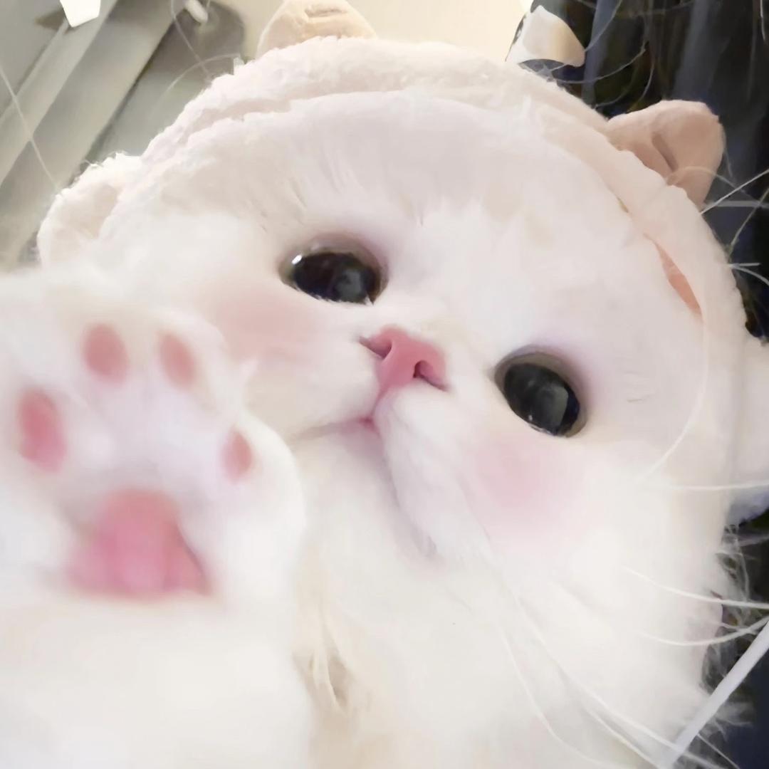 ˗ˋˏ遇喜ᰔᩚˎˊ˗