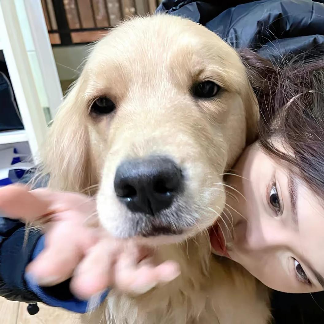 我爱炸薯条