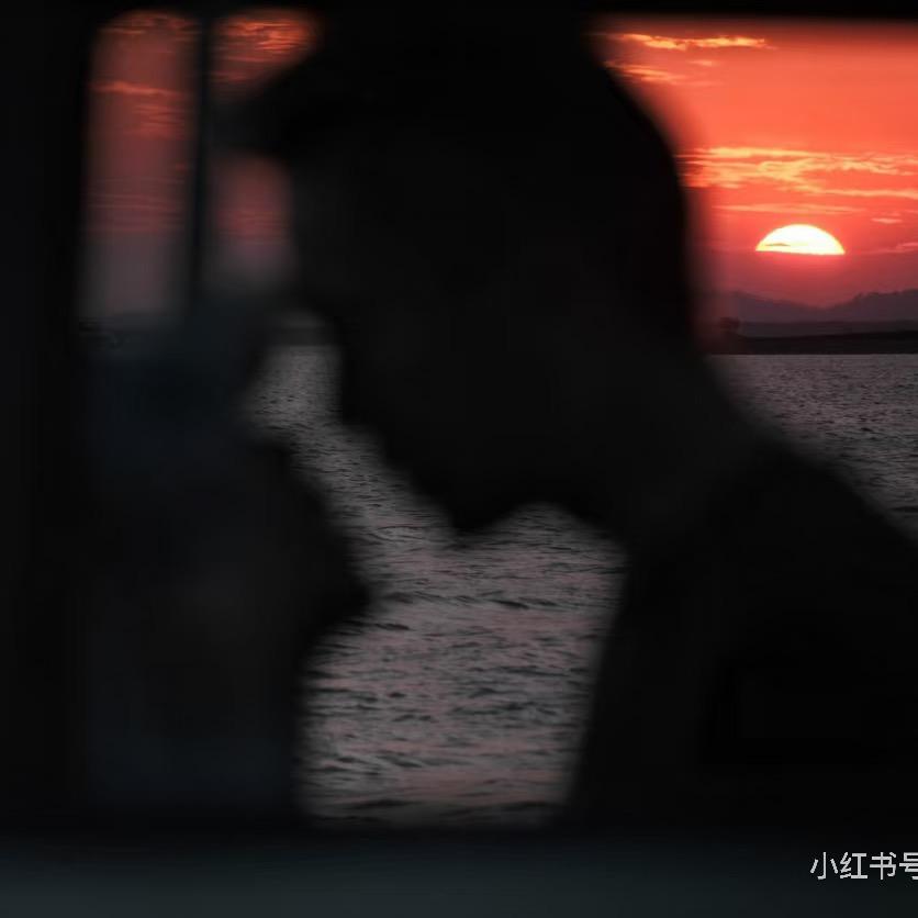 豹力