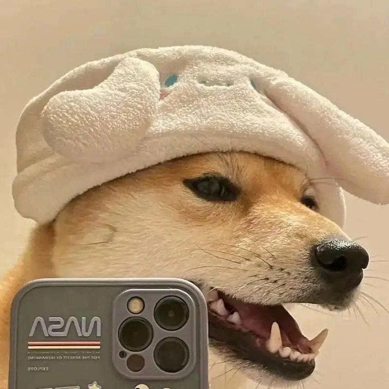 这不是系我吗