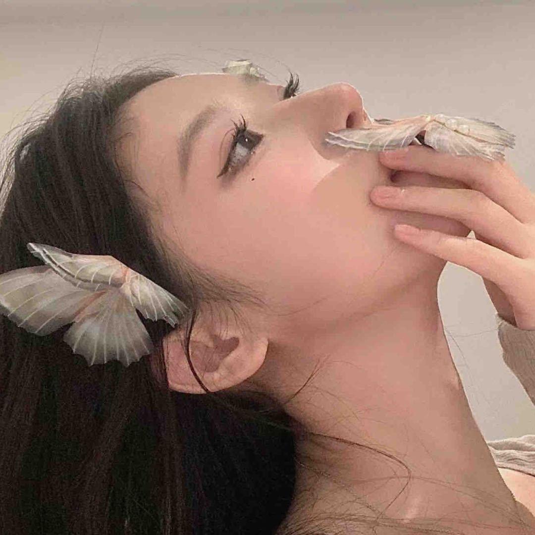 冉冉升起的冉☀️