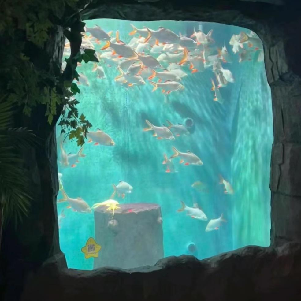 芒果过敏