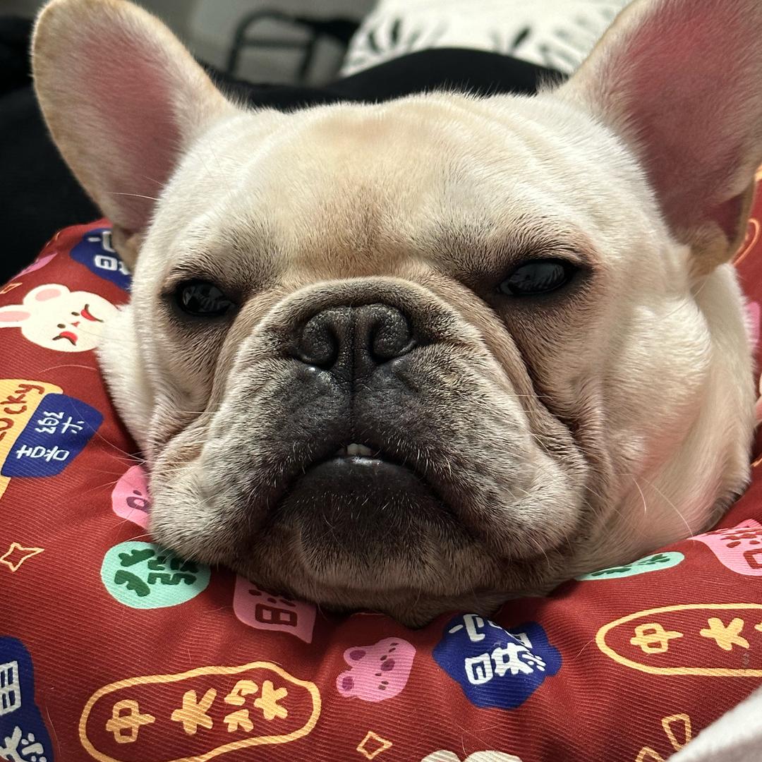 财神爷的小宝贝✨