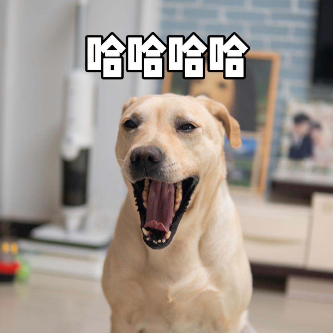 Popper的日常