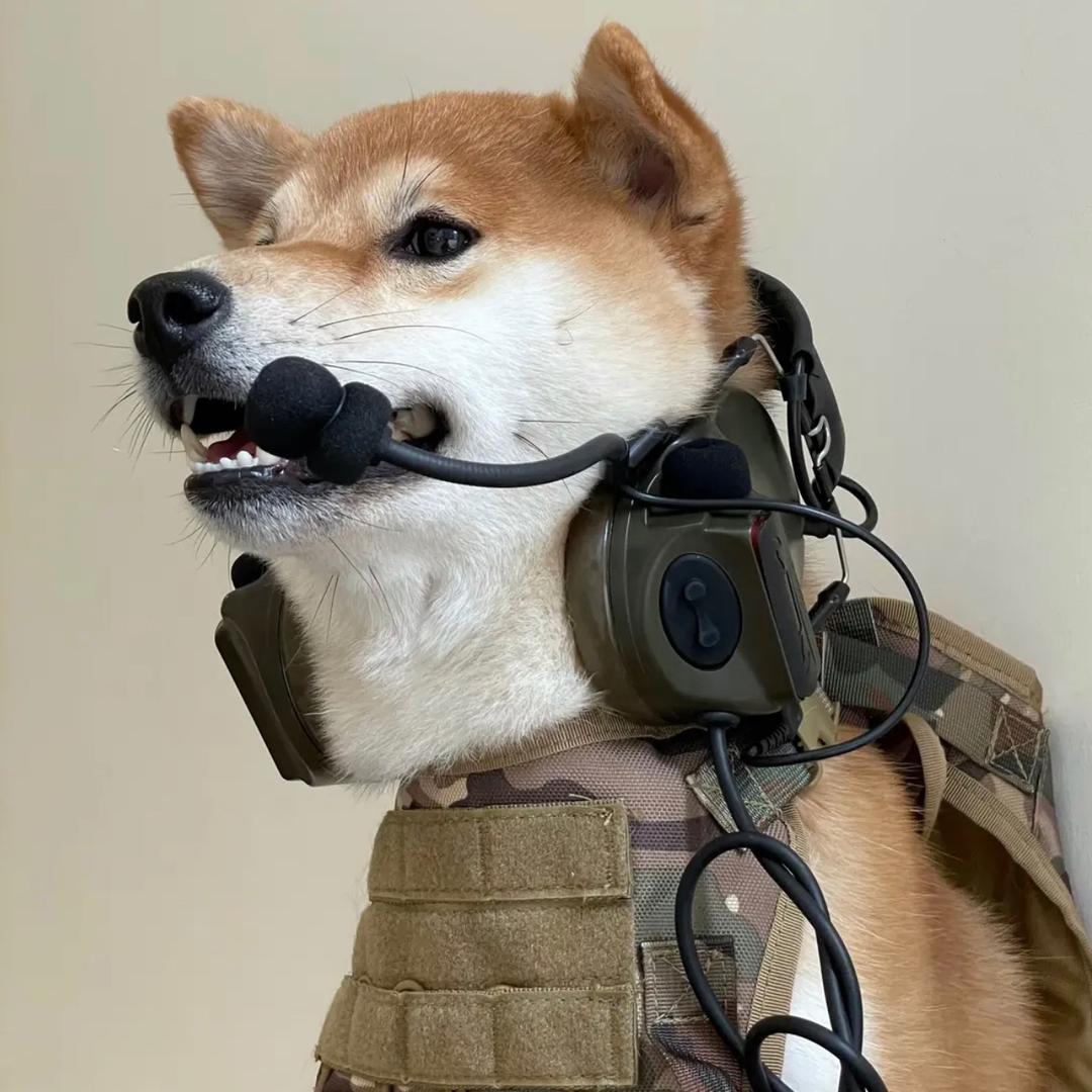 少男诗篇🫠