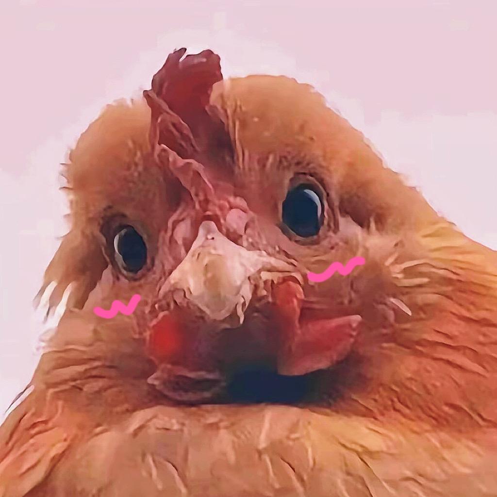 是秀秀呀QAQ