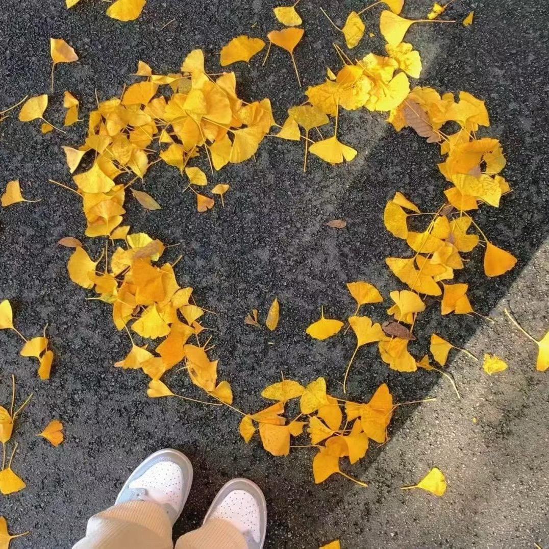 小 菜 同 学 . 🕊