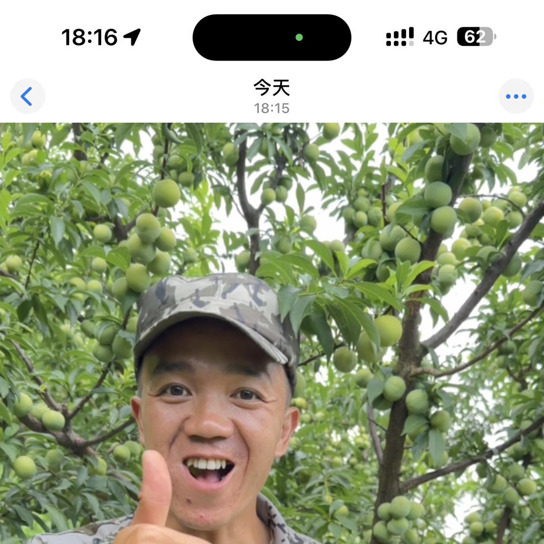 大舅哥高山果蔬铺