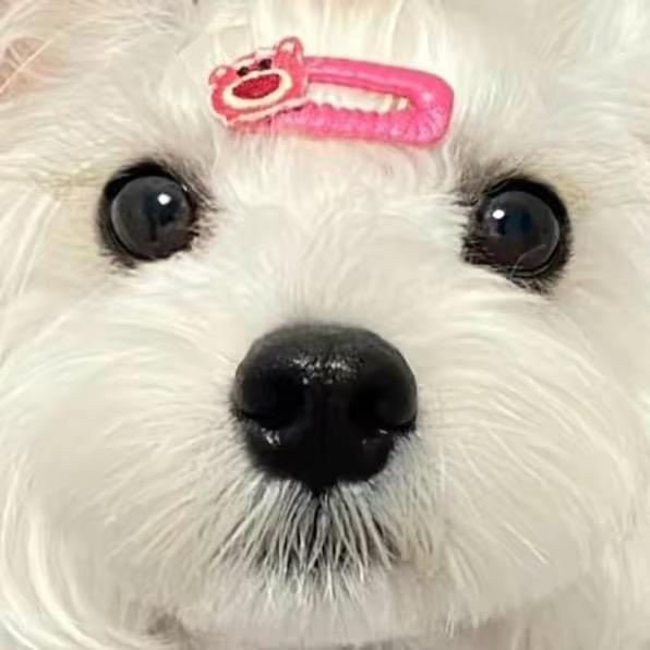 xxxxxx
