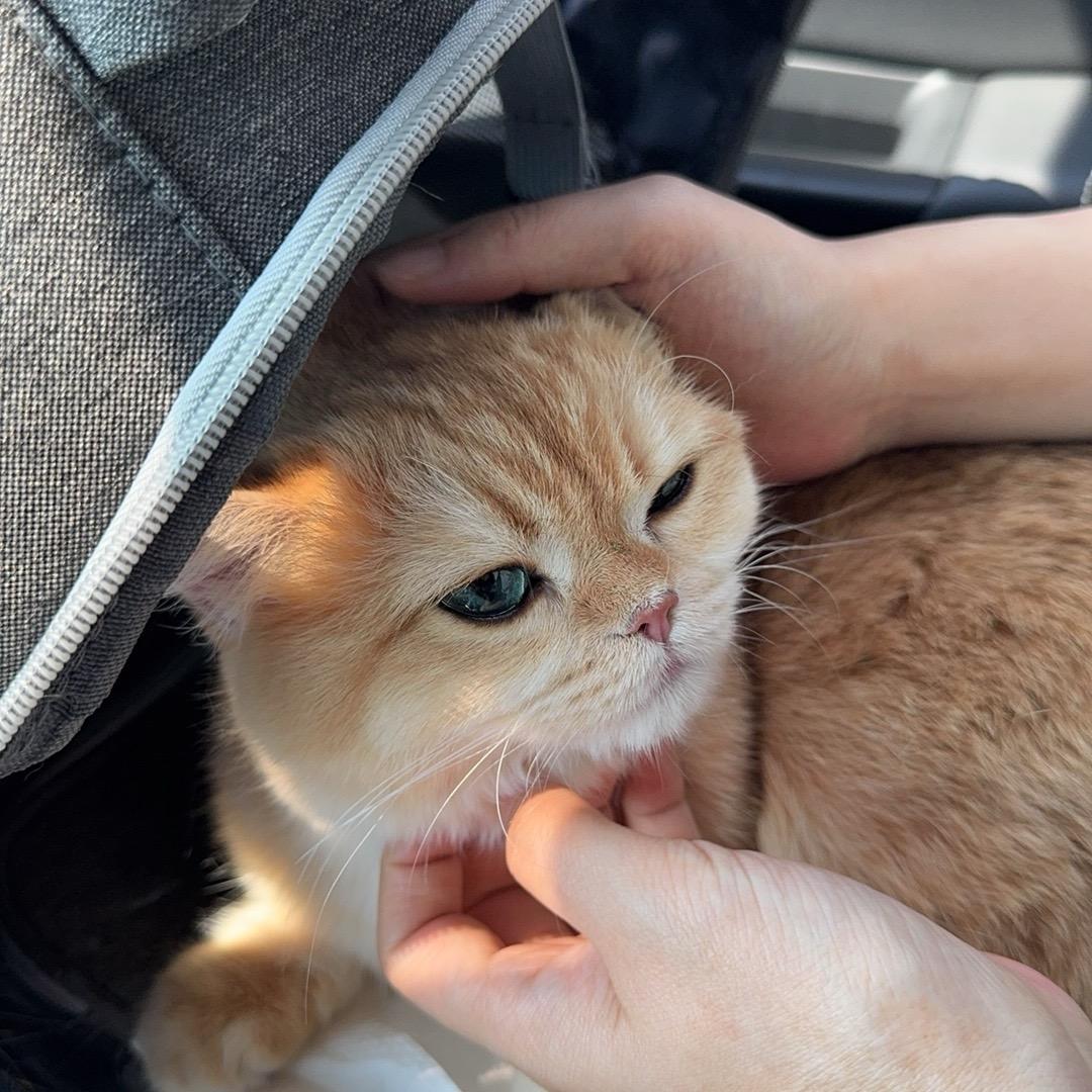 糖宝的文玩日记