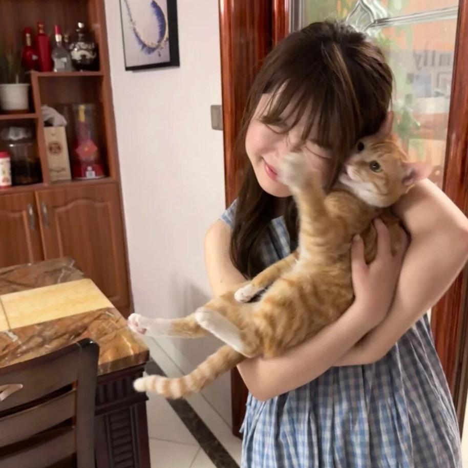 猫妮慧