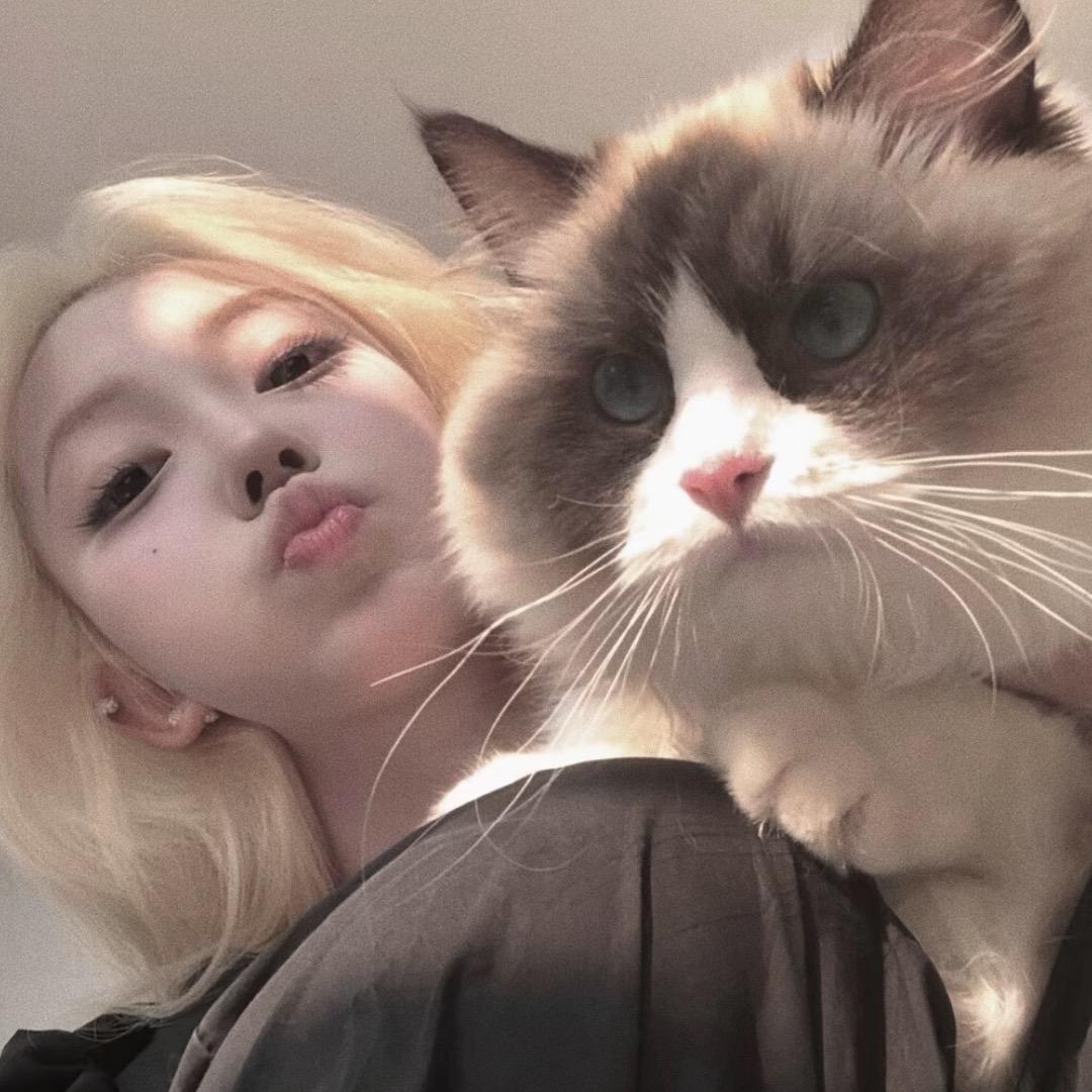 小灰       🔪