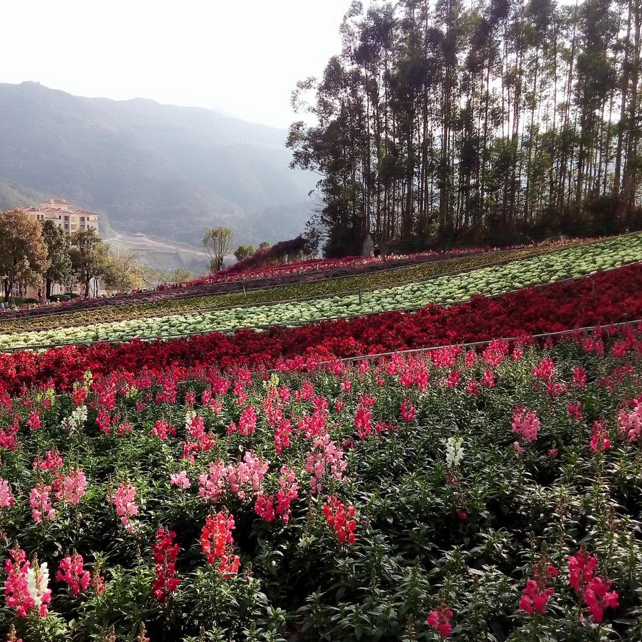 班彼象箱包专营店