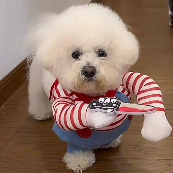 🍠地瓜