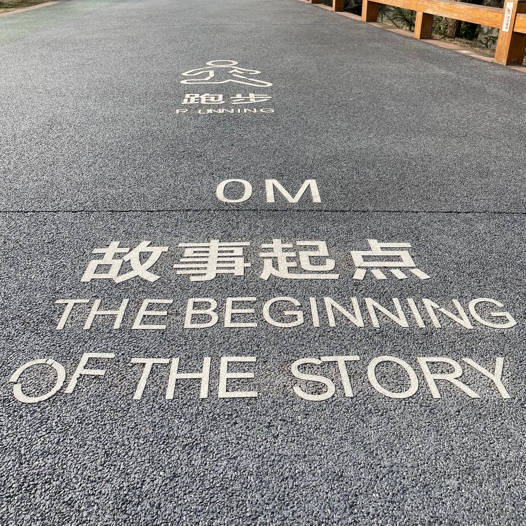 后来的我们