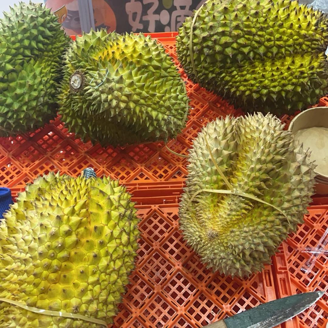 K凯桑