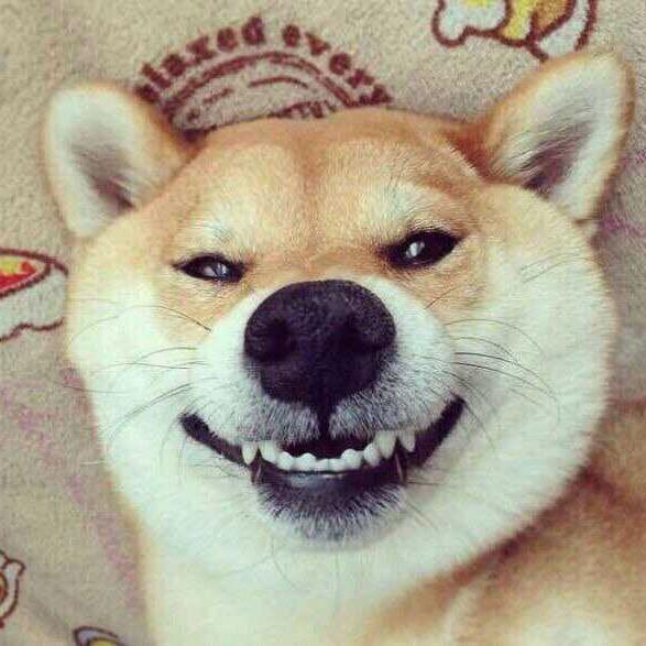 张富贵