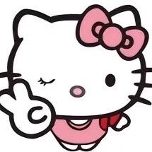Y女士