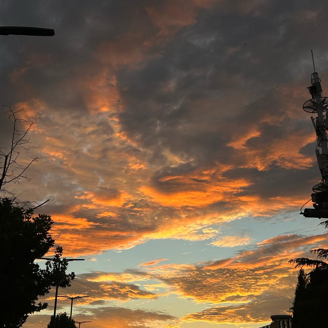 私域生鲜头部小鲜鲜