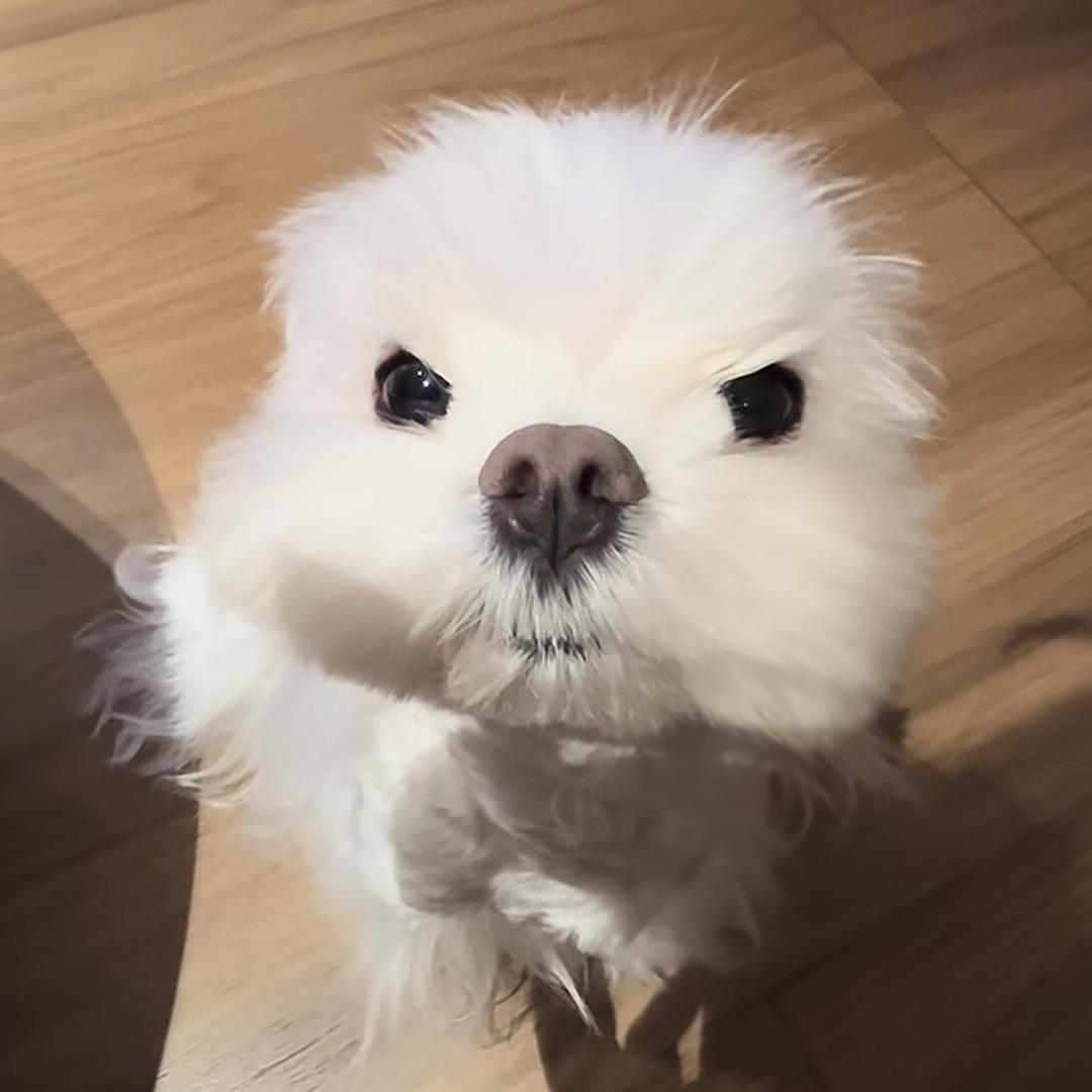 @AAA铁路维修沙师傅166*****6