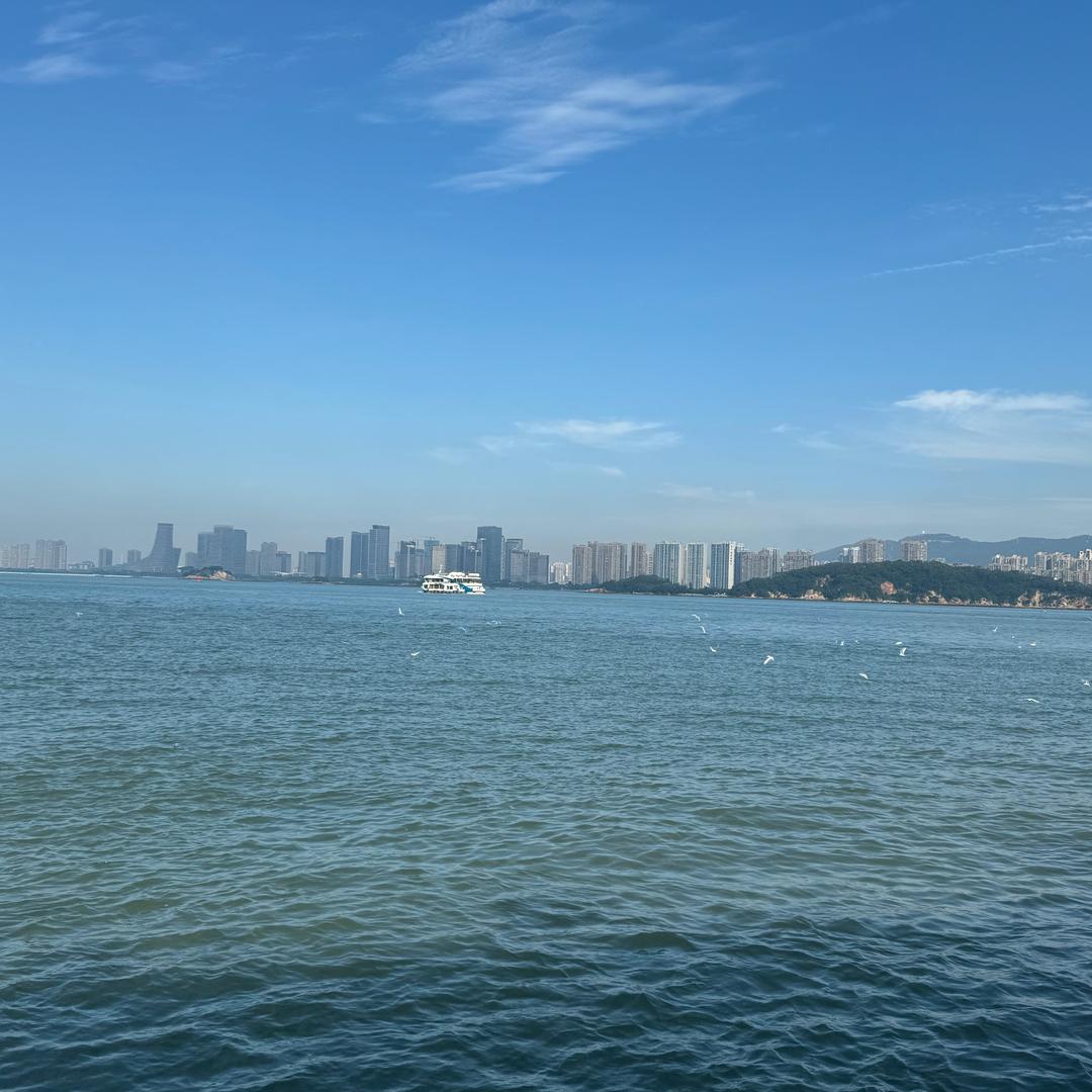 🌈子木的好运日记📔
