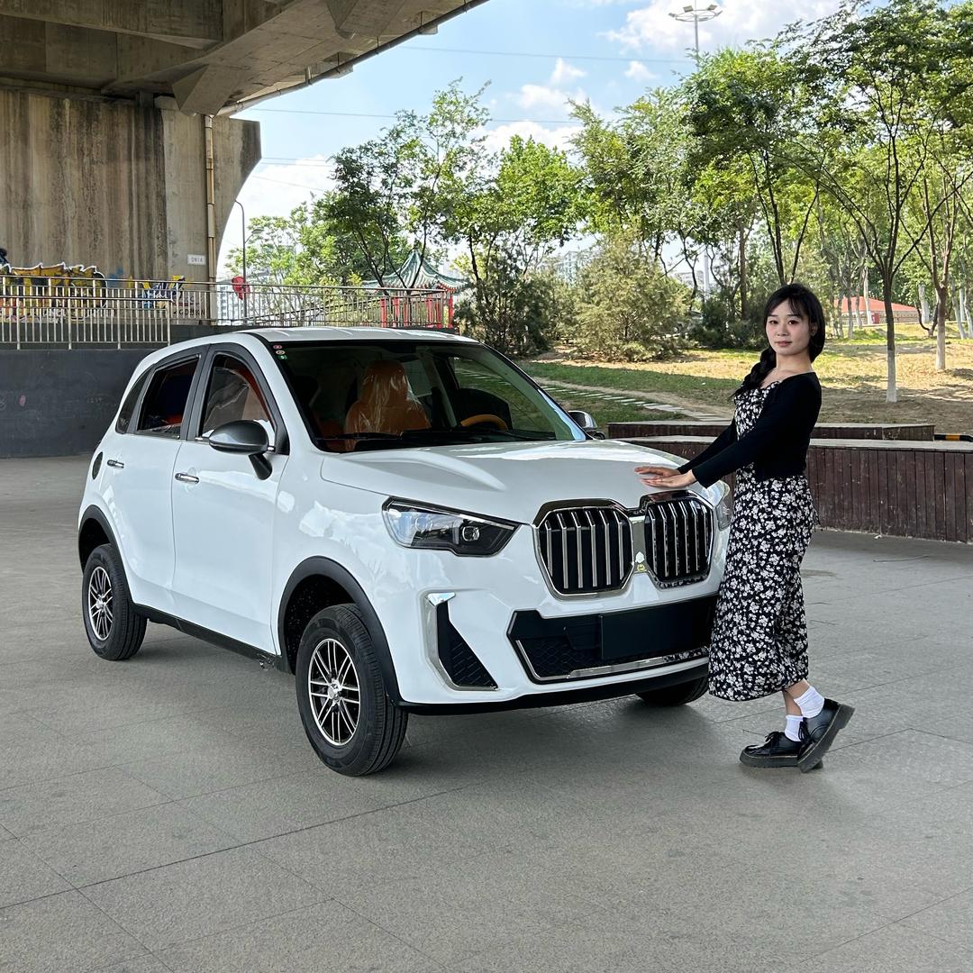 新能源代步汽车