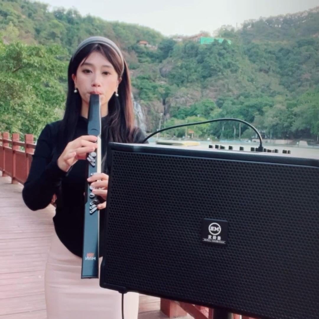 曼保龙音响工厂店