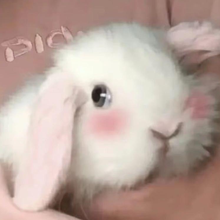 奈叔