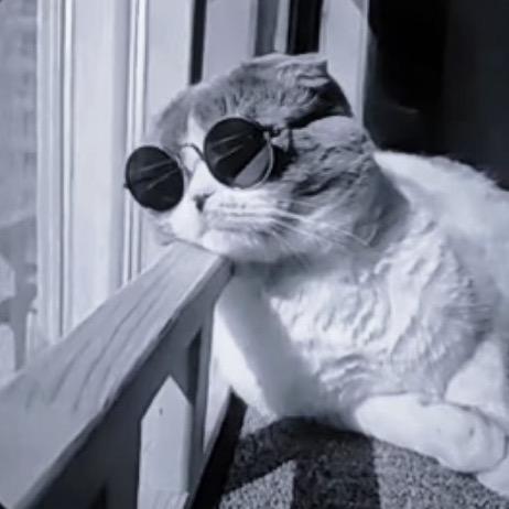 重生之我在西安做房产中介。