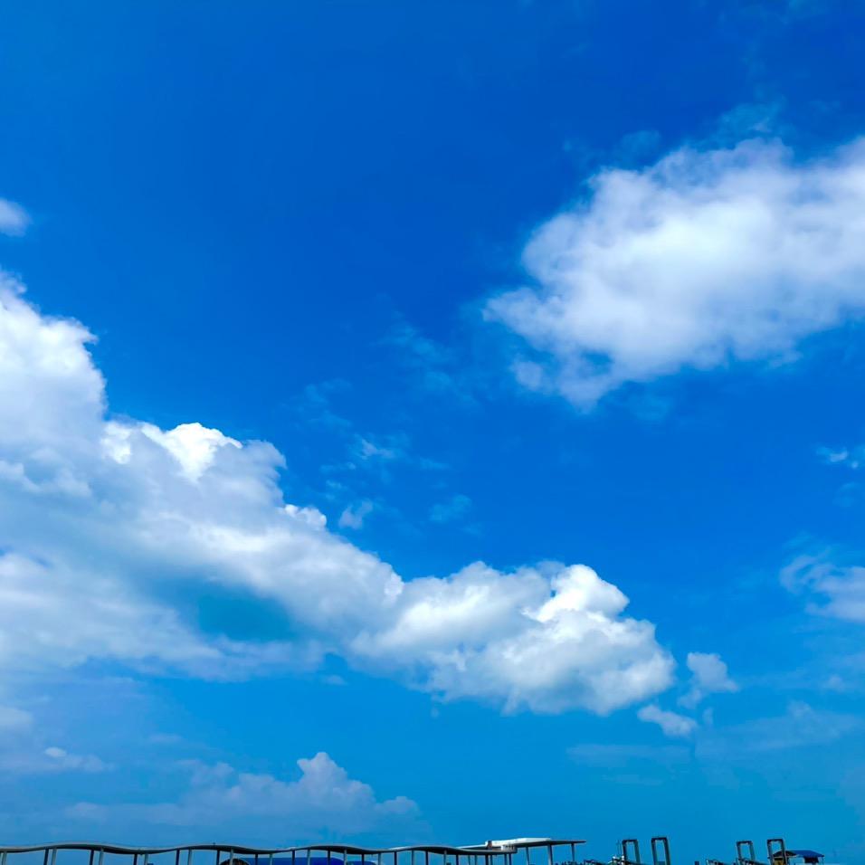 加勒比海带.