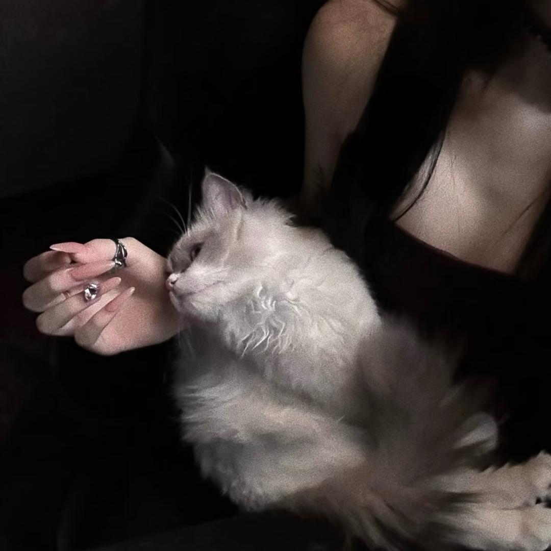 悲伤火鸡面🍜.