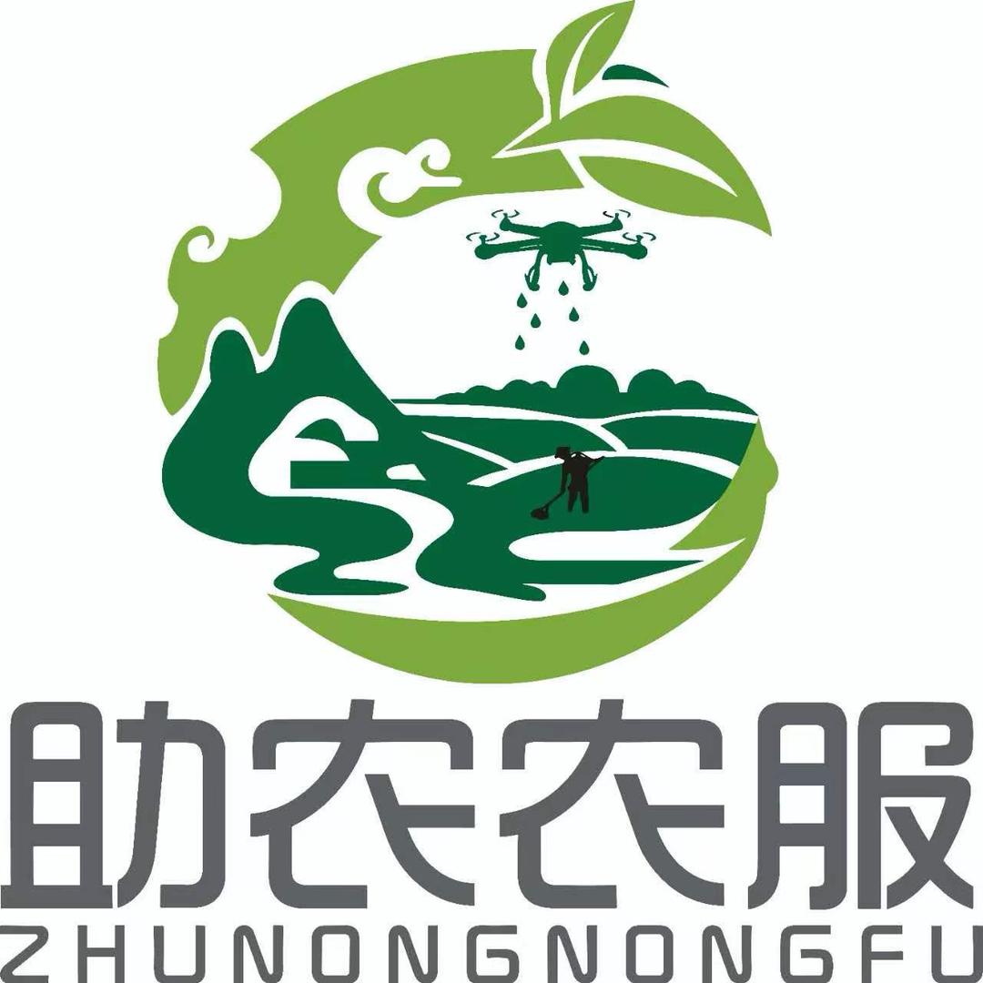 小徐玩飞机