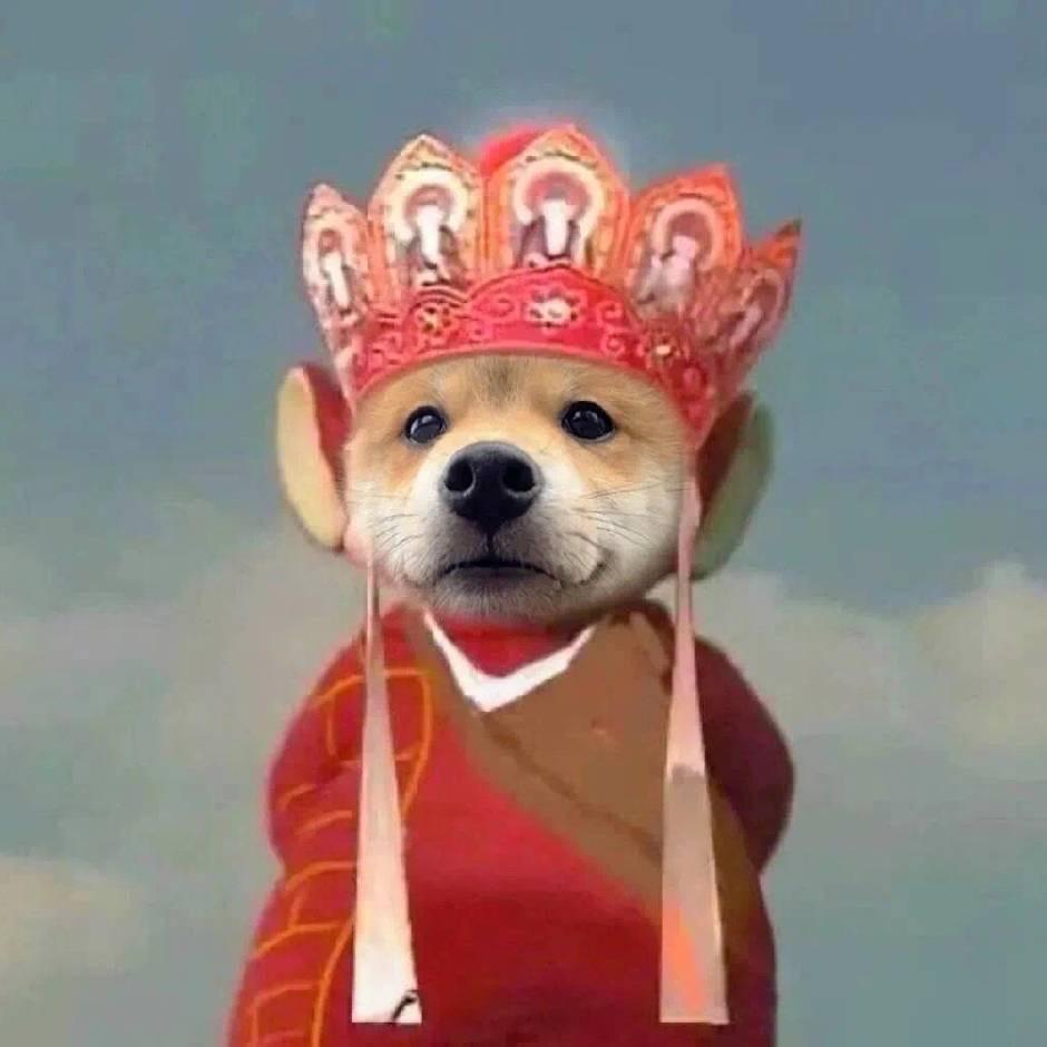百思不得其解