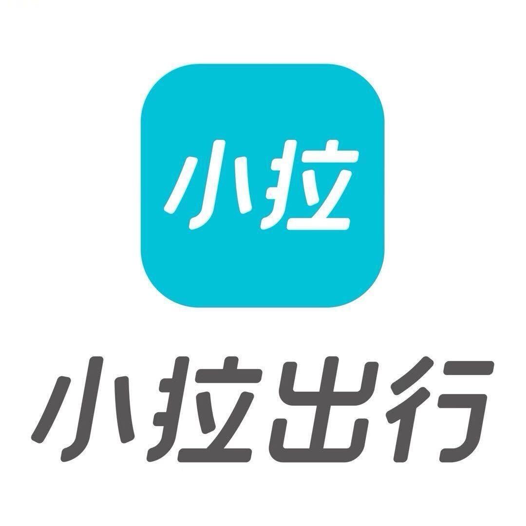跑小拉日常分享