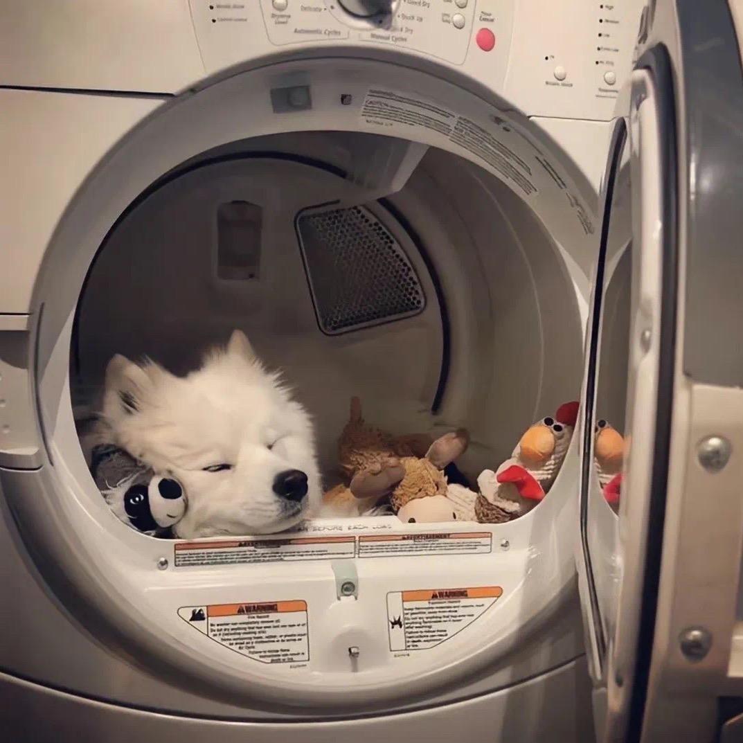 白玉堂复仇鸳鸯楼👊🏻