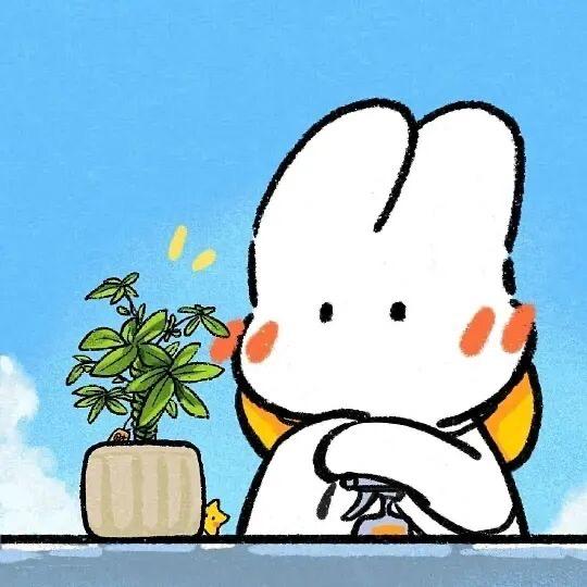 不讲鲤魚