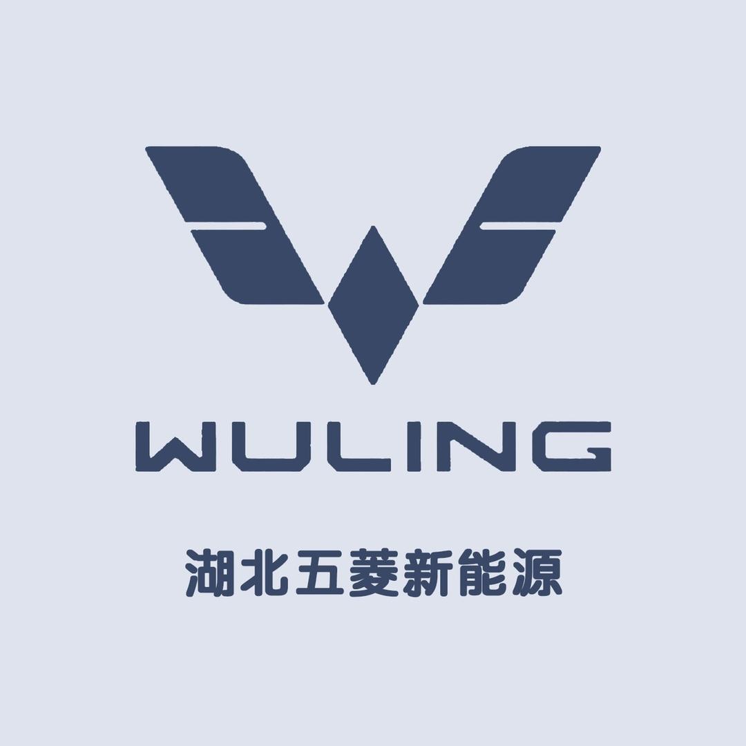 湖北五菱新能源