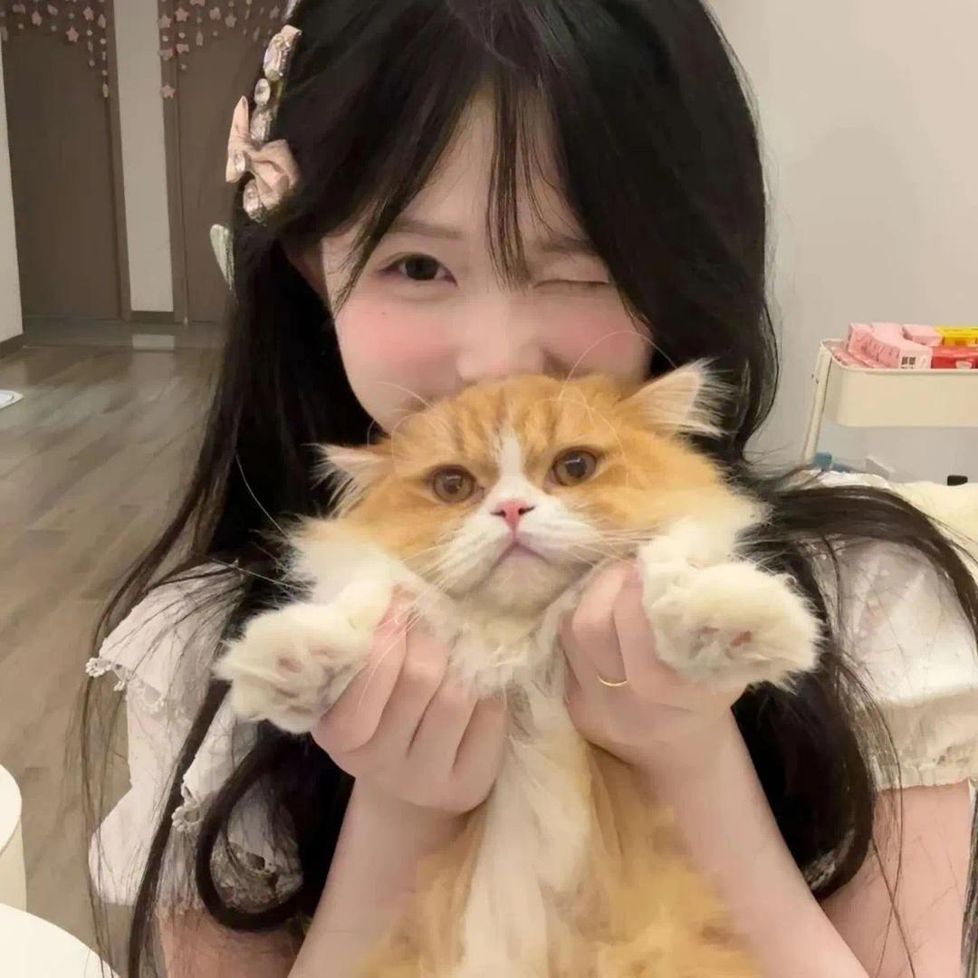 昭昭如愿💕