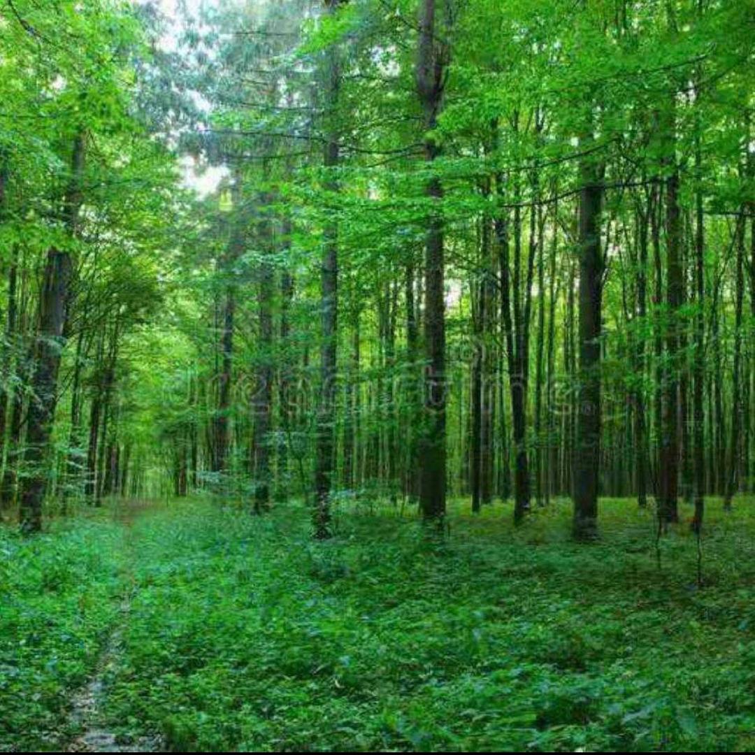 引凡入圣剑锋金、