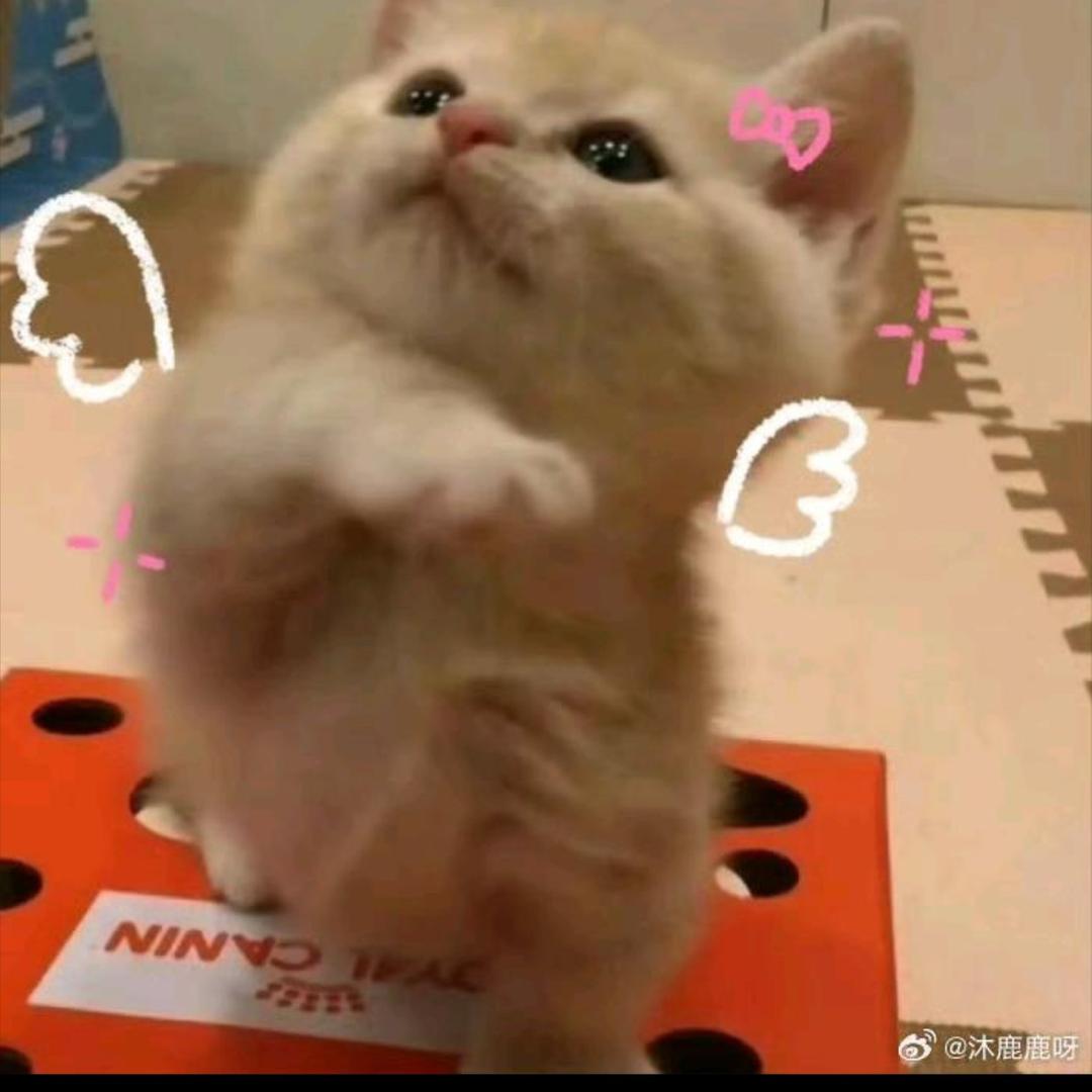 叮叮车（浅浅）