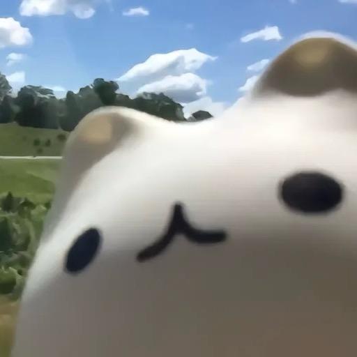小鱼🥺