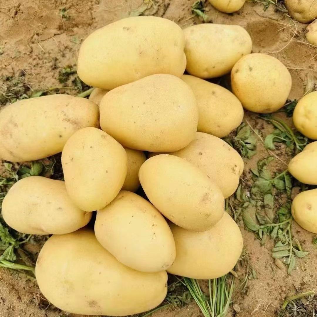 蔬菜代收，代存，代卖